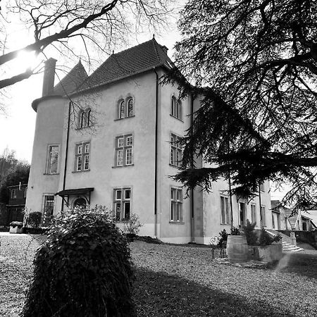 Bed And Breakfast Le Chateau De Morey Belleau 외부 사진