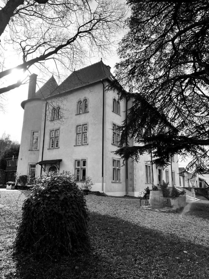 Bed And Breakfast Le Chateau De Morey Belleau 외부 사진
