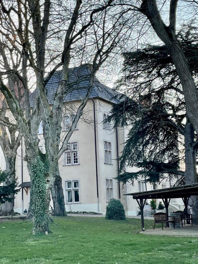 Bed And Breakfast Le Chateau De Morey Belleau 외부 사진